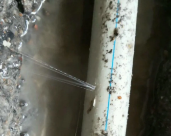 龙凤卫生间测漏水多少钱