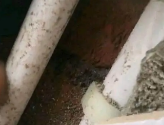龙凤卫生间测漏水哪家好